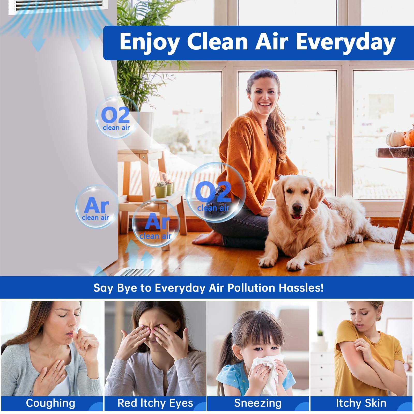 Demiwise pet-owner friendly filter captures dander and dust for sensitive homes