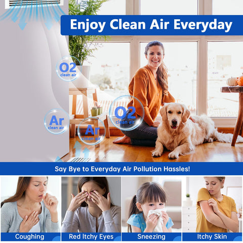 Demiwise pet-owner friendly filter captures dander and dust for sensitive homes
