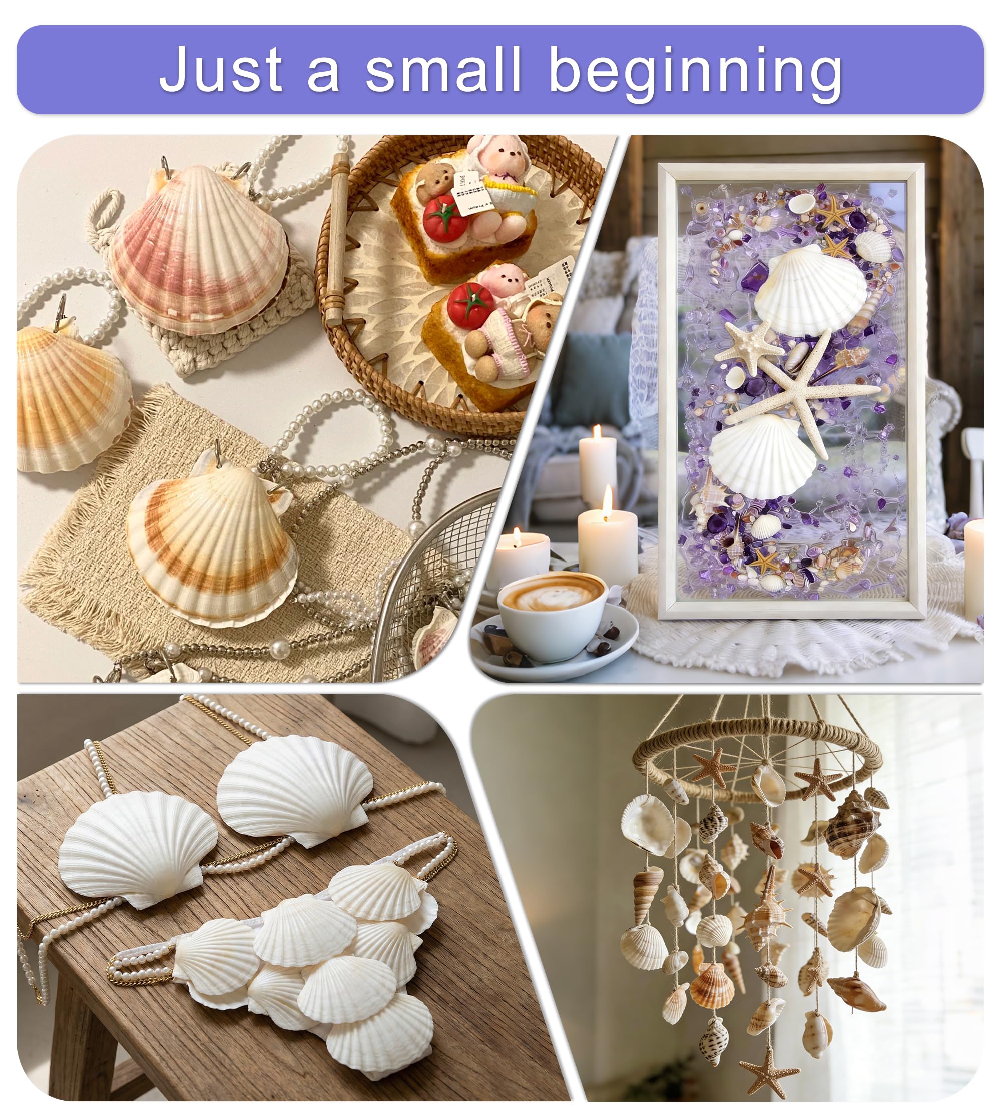 Denking scallop shells for elegant beach wedding decor and coastal table styling.