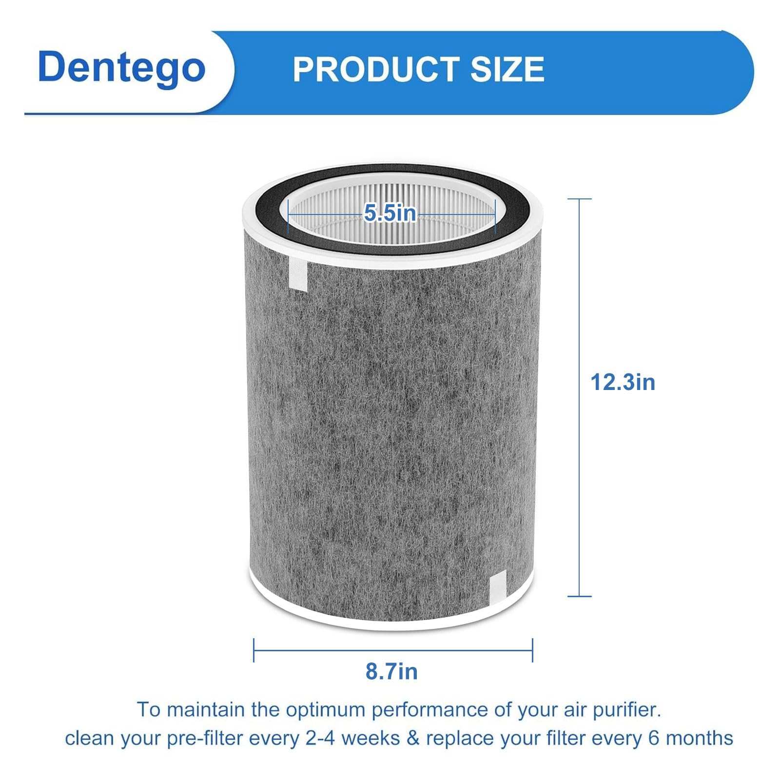 Dentego 2-pack filters inside view highlighting two replacement filters