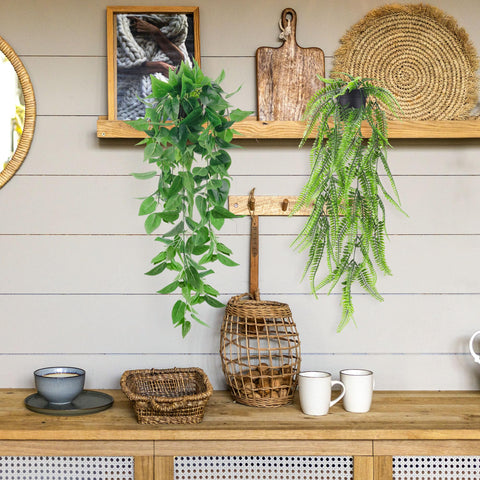 Der Rose Boston fern vine adds lush texture to bathrooms or kitchens.