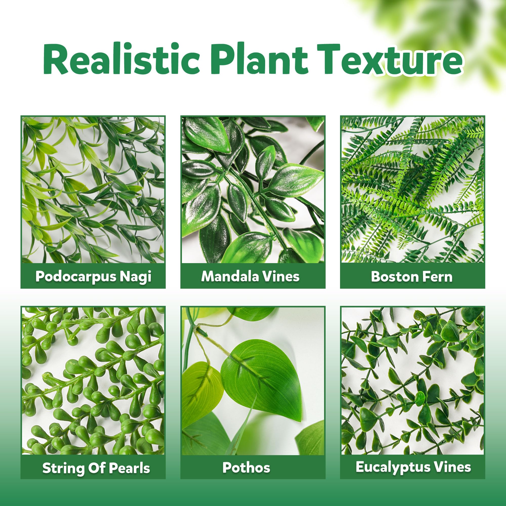 Der Rose podocarpus nagi vine brings structured greenery to shelves or walls.