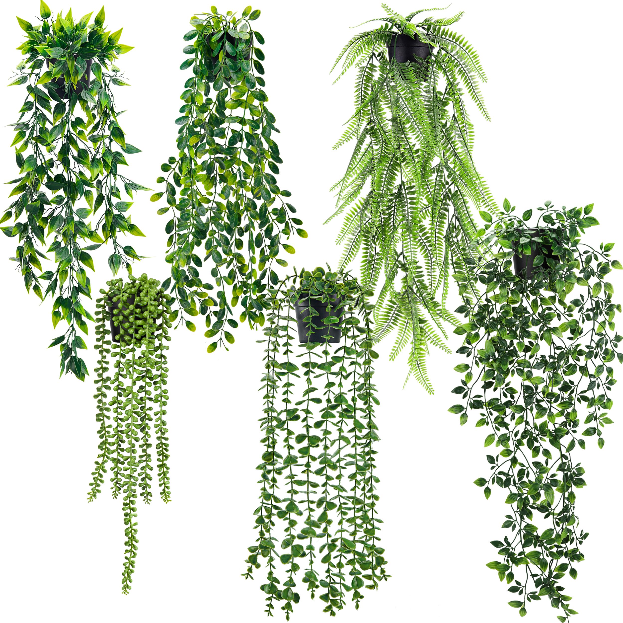 Der Rose hanging eucalyptus vines in black pots for versatile indoor decor.