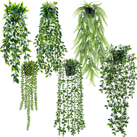Der Rose hanging eucalyptus vines in black pots for versatile indoor decor.