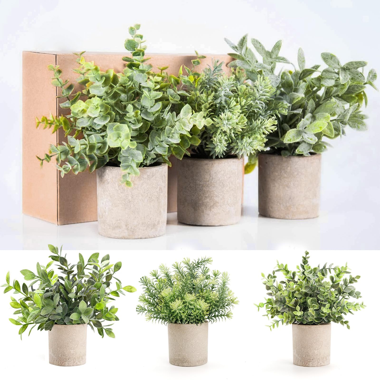 Der Rose desk greenery makes small spaces feel inviting and calm.