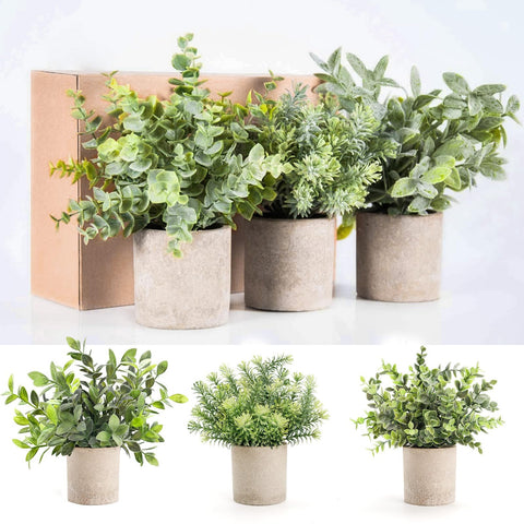 Der Rose desk greenery makes small spaces feel inviting and calm.