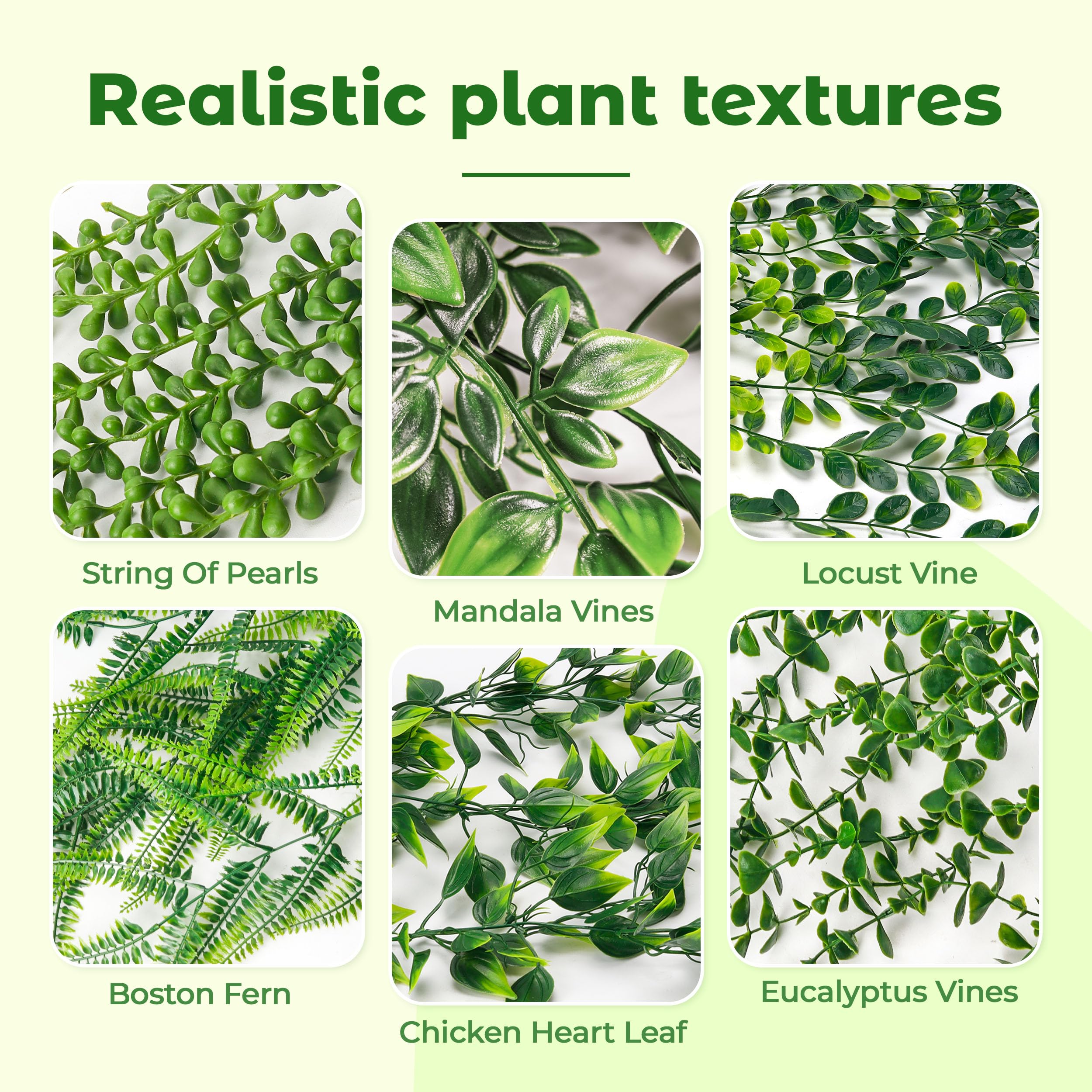 Der Rose Boston fern hanging plant enhances bathroom or kitchen decor.