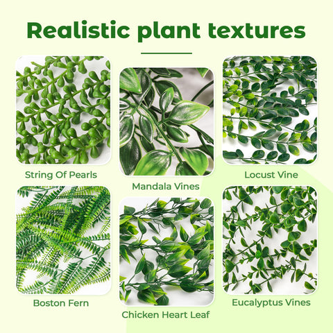 Der Rose Boston fern hanging plant enhances bathroom or kitchen decor.