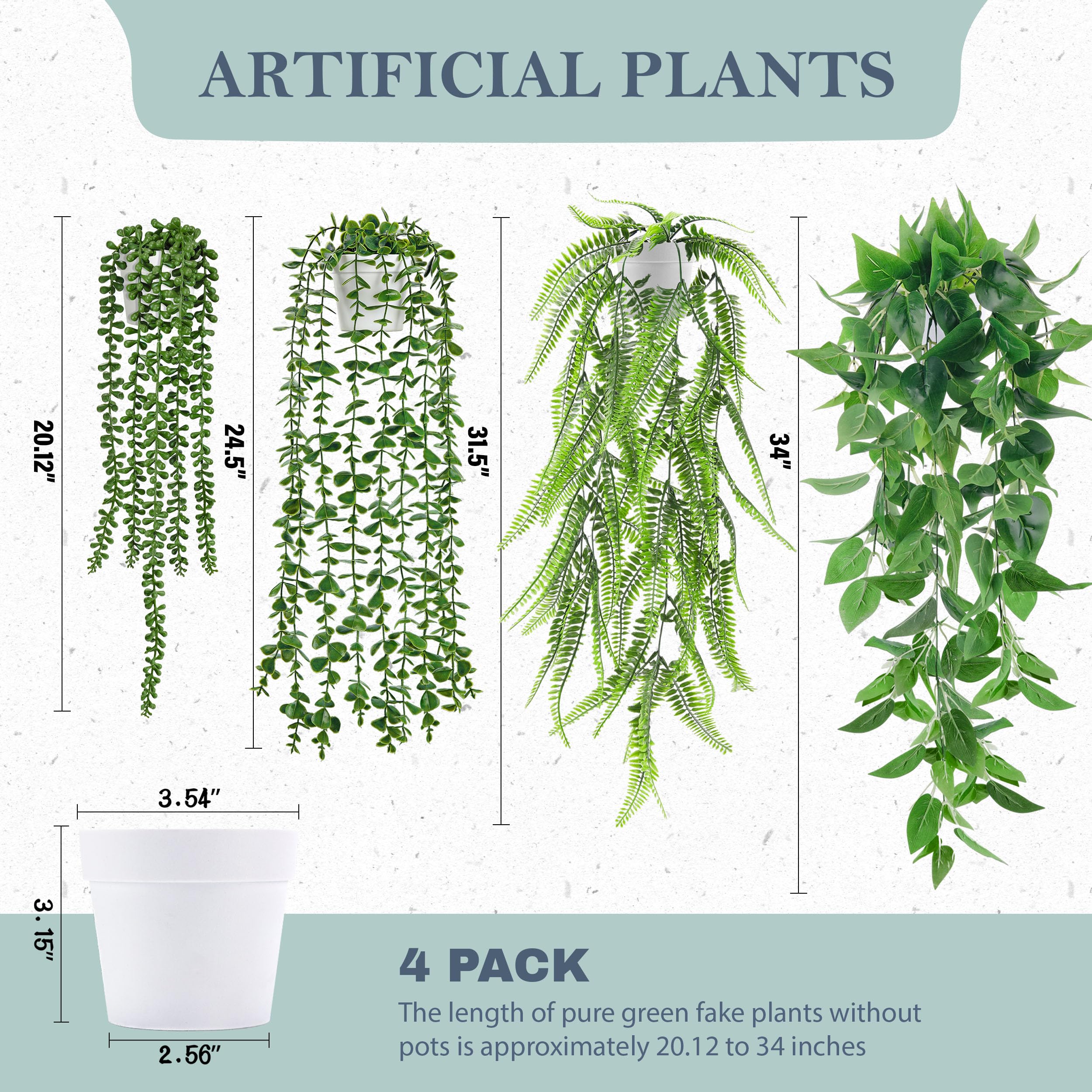 Der Rose Boston fern hanging plant brings lush indoors with minimal upkeep