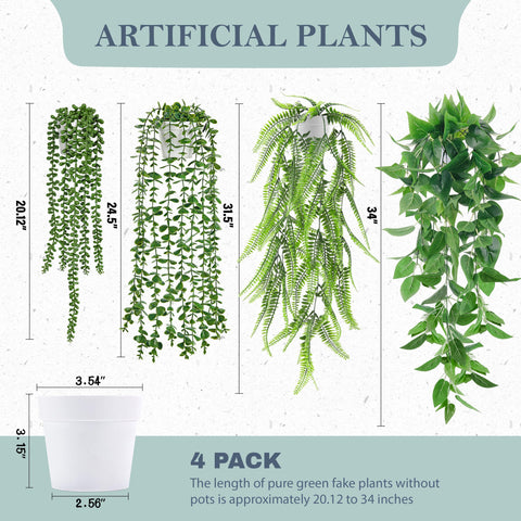 Der Rose Boston fern hanging plant brings lush indoors with minimal upkeep