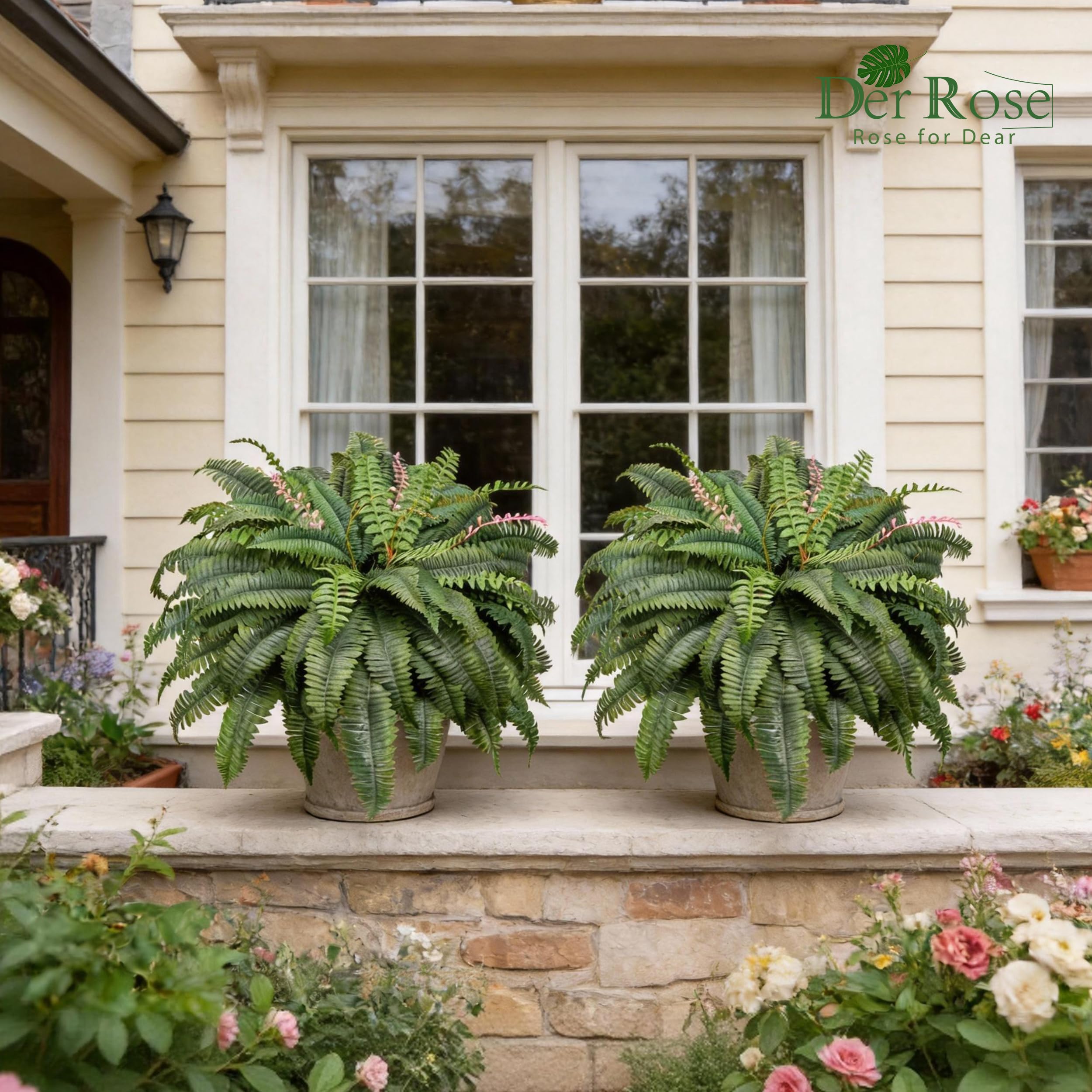 Der Rose Boston-fern look-alike brings dense greenery to porches without maintenance