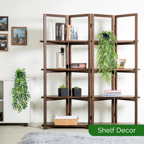 Der Rose chicken heart leaf hanging plant adds lush green charm to any room.