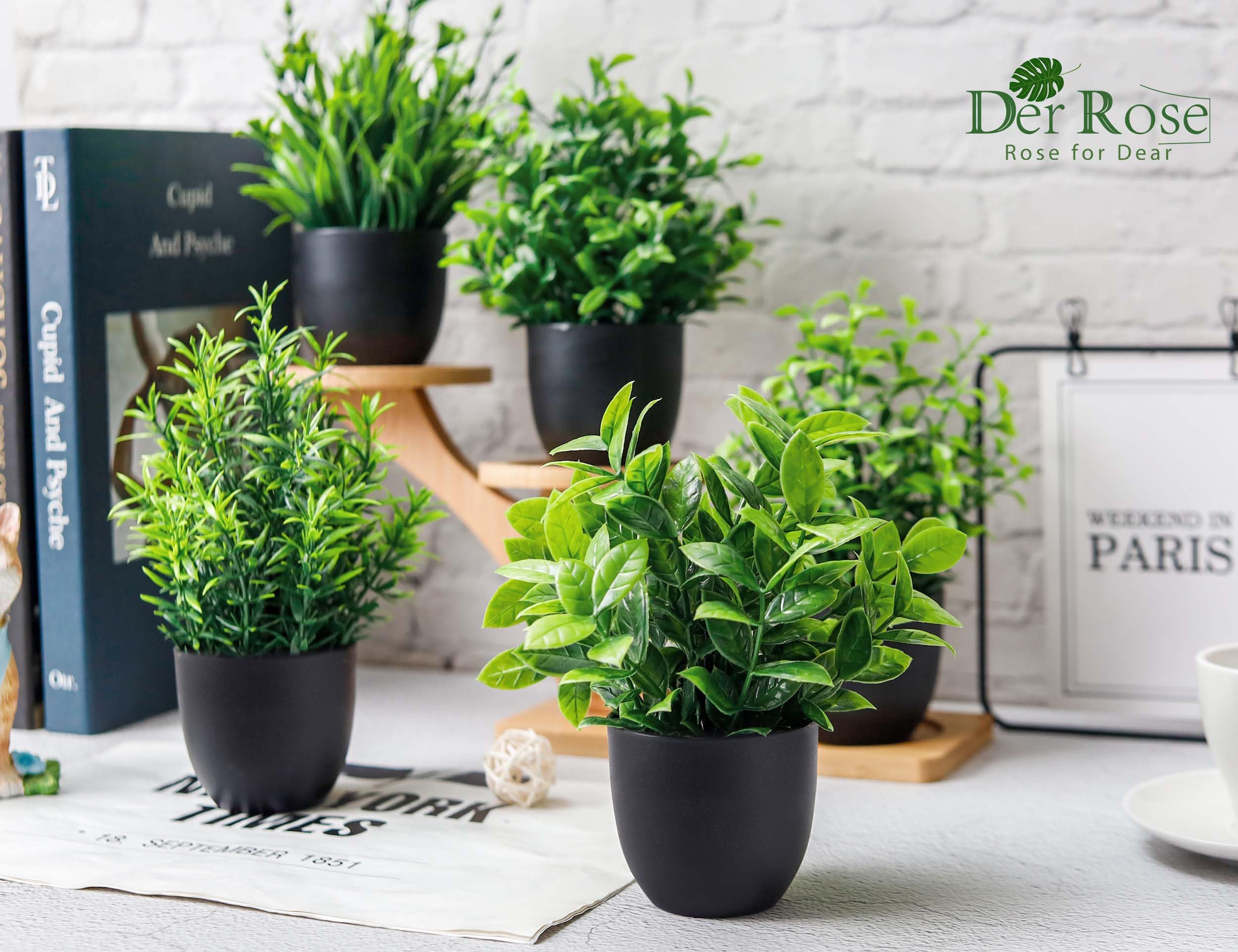 Der Rose compact greenery on shelves mirrors real plants with durable color.