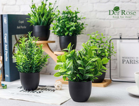 Der Rose compact greenery on shelves mirrors real plants with durable color.