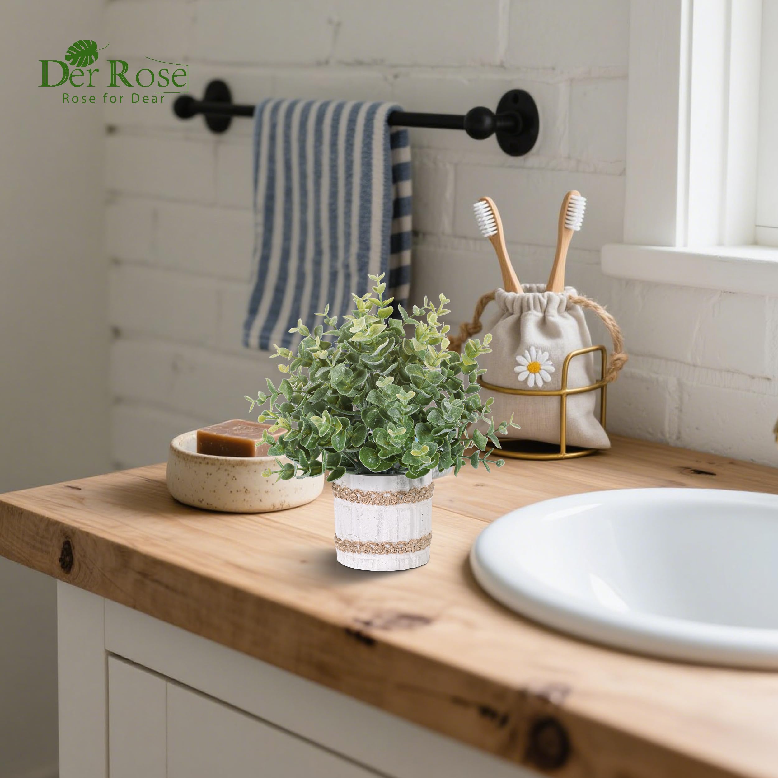 Der Rose compact plants suit shelves dining tables and kitchen counters.