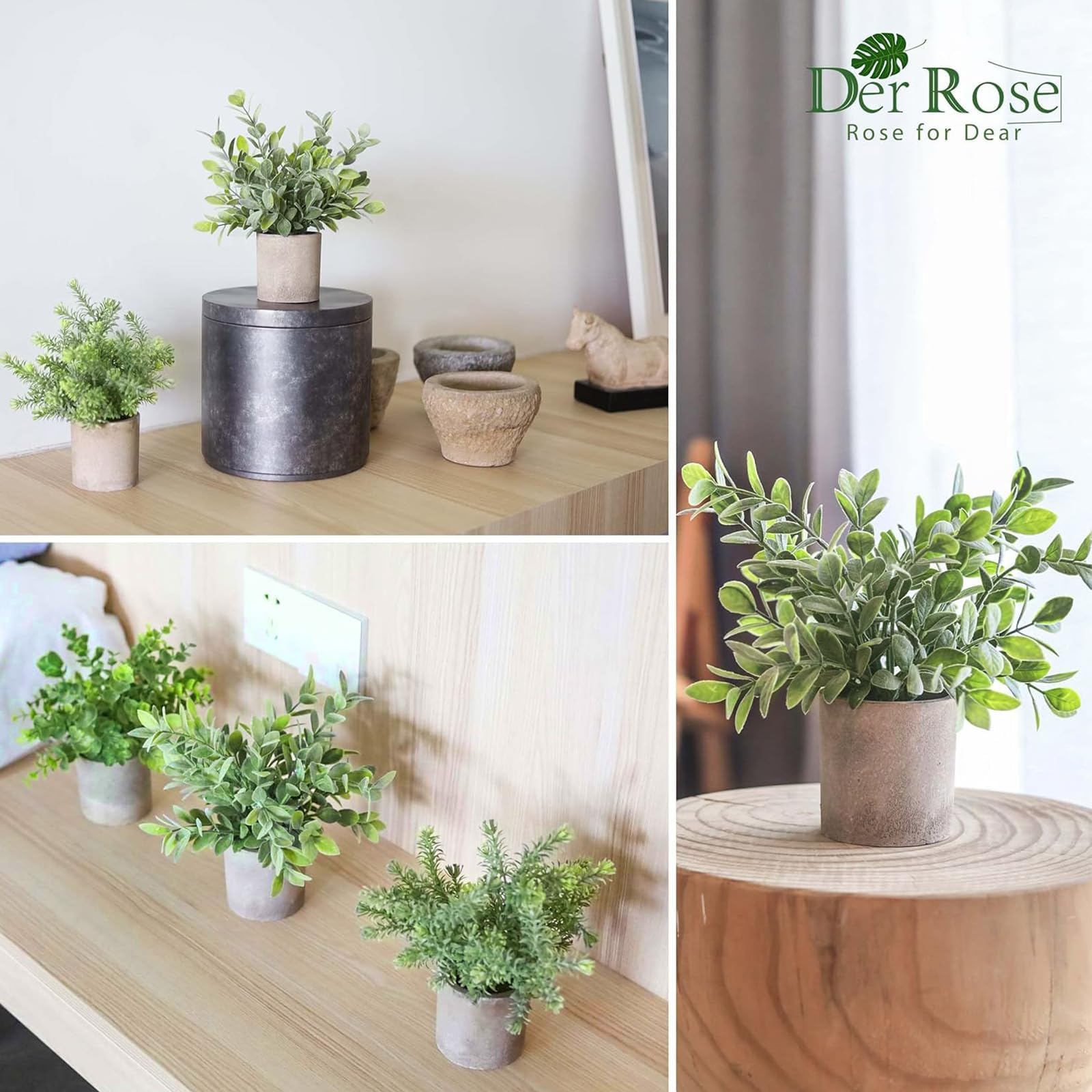 Der Rose three-pack topiaries brighten home offices with low maintenance appeal.