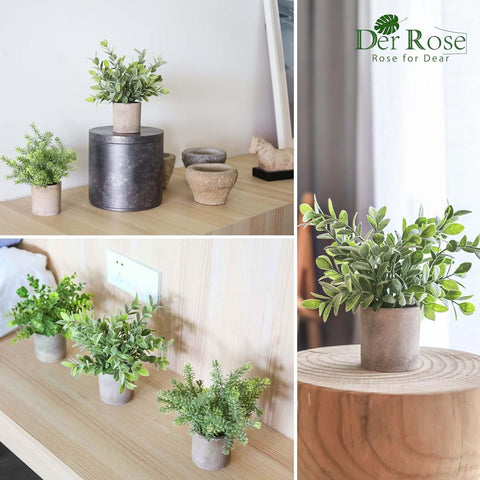 Der Rose three-pack topiaries brighten home offices with low maintenance appeal.
