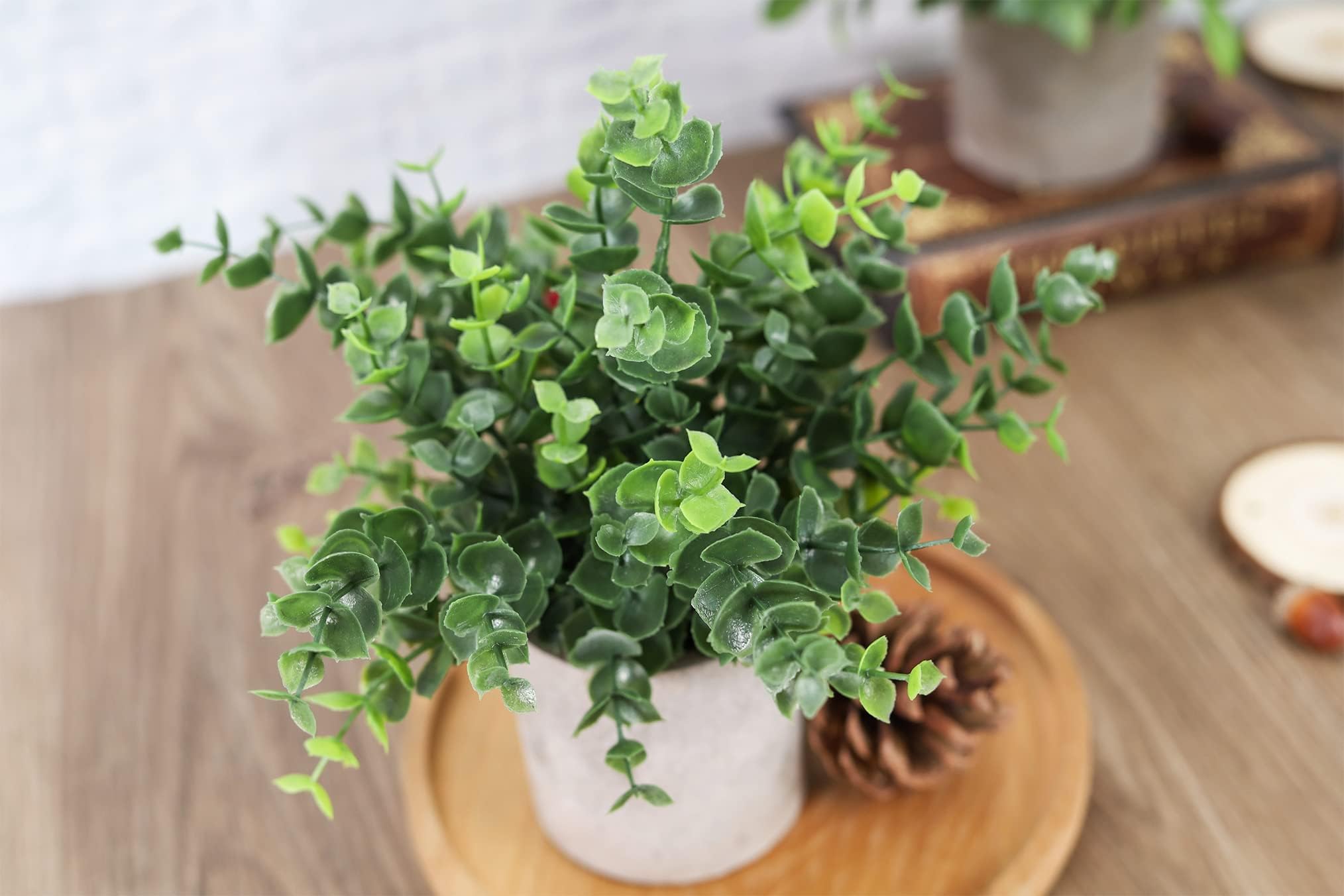 Der Rose farmhouse eucalyptus decor for cozy, stylish interiors.