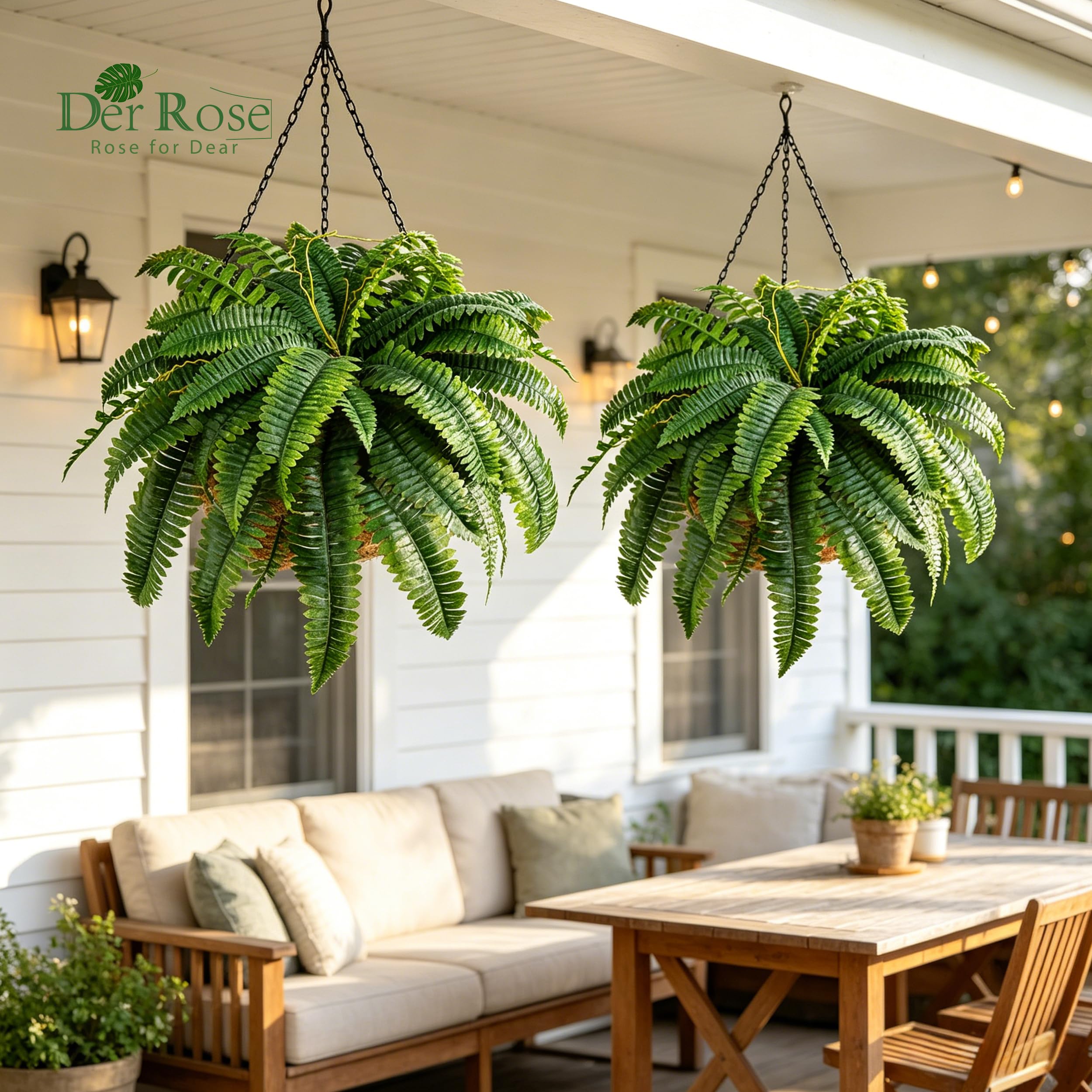 Der Rose maintenance-free fern requires only an occasional dusting.