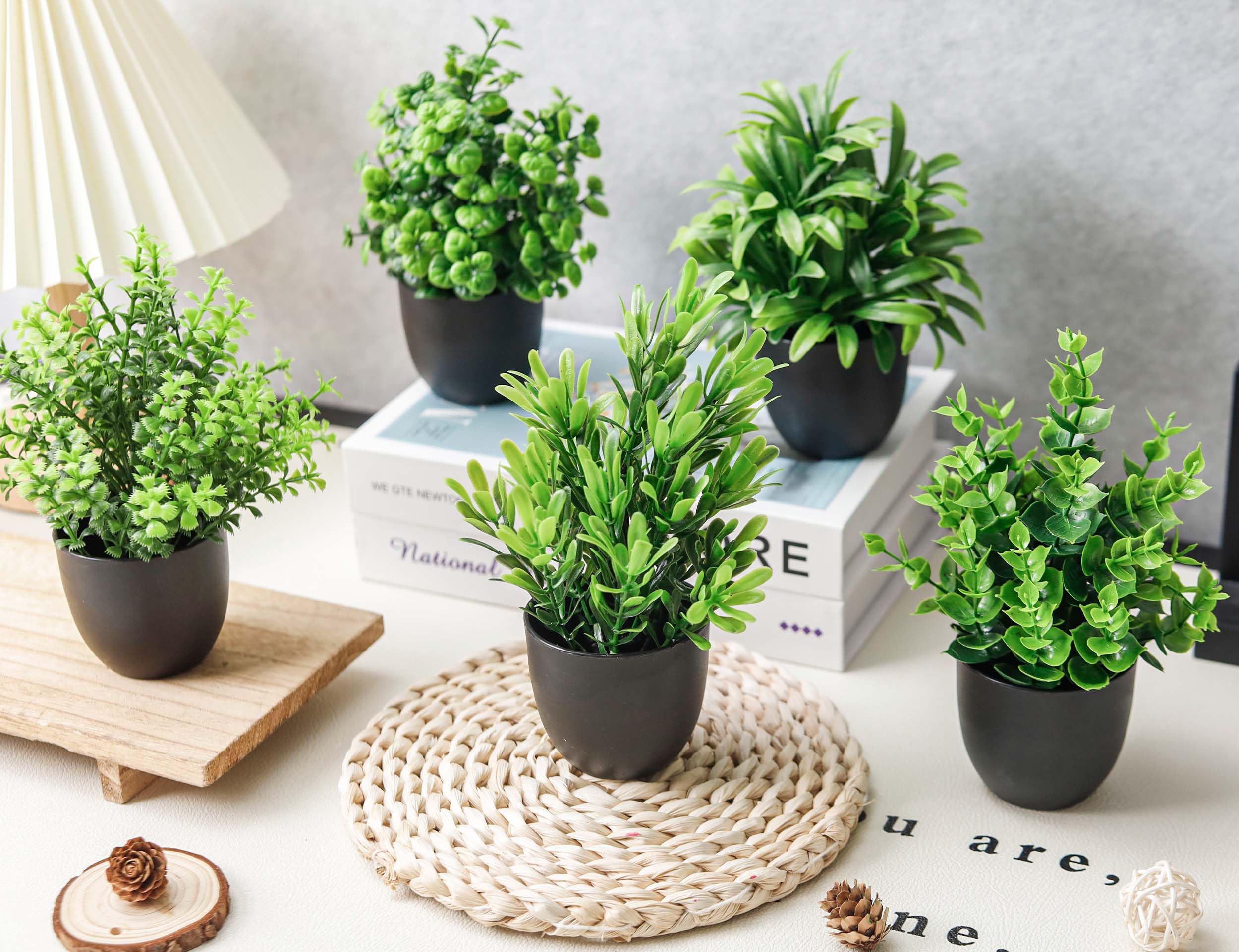 Der Rose mini office plants add modern color to workspaces.