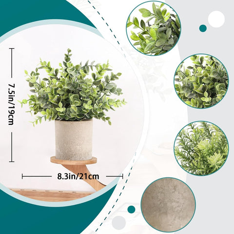 Der Rose eucalyptus inside a paper pulp pot brings subtle greenery to shelves.