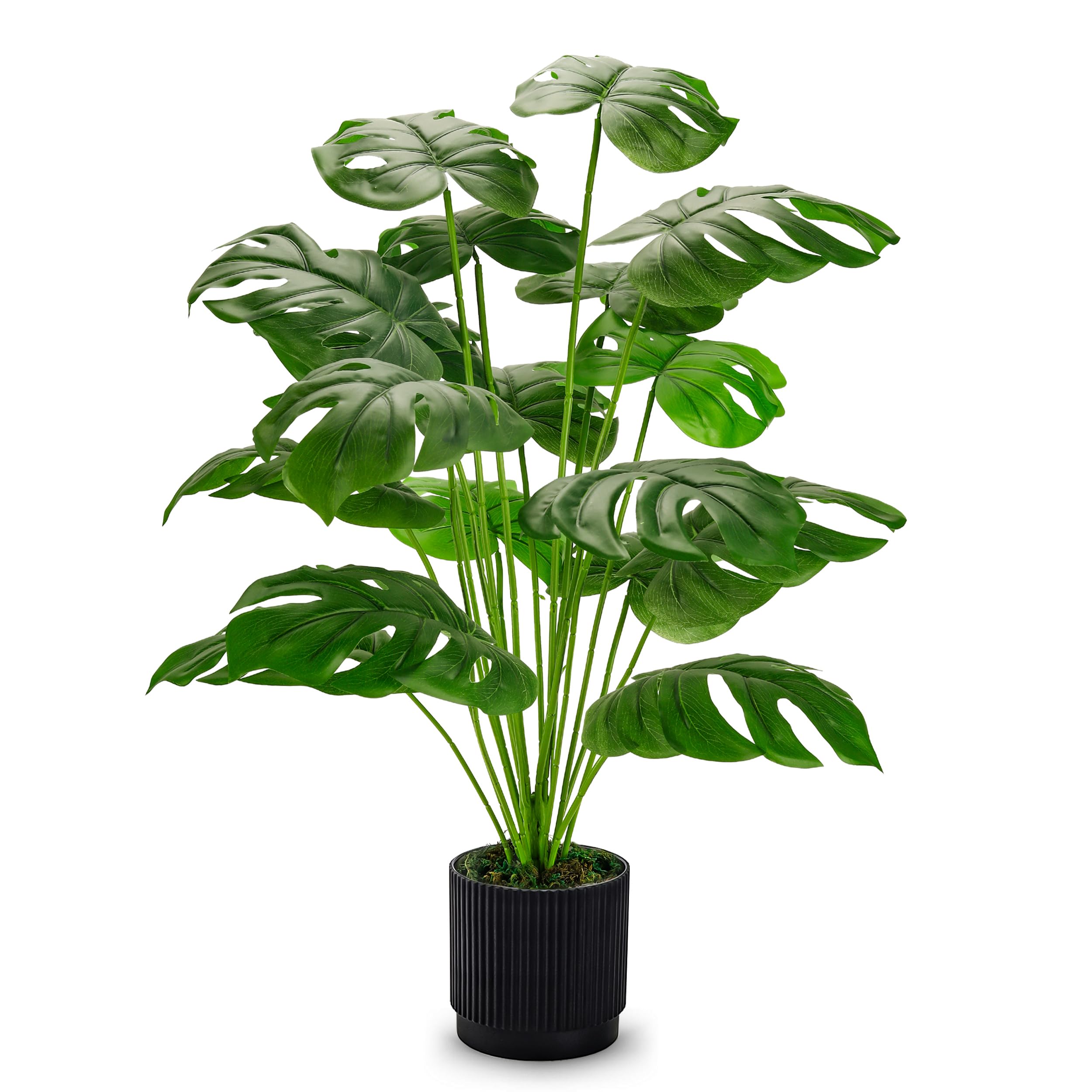 Der Rose 28-Inch Monstera on front porch with maintenance-free greenery