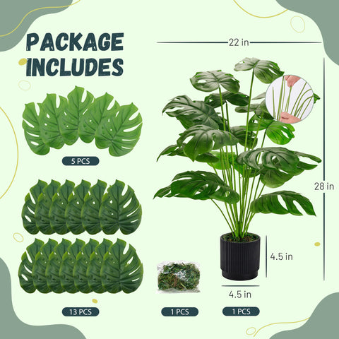 Der Rose Monstera 28-Inch brightens kitchen windowsills; fade-resistant leaves stay vibrant