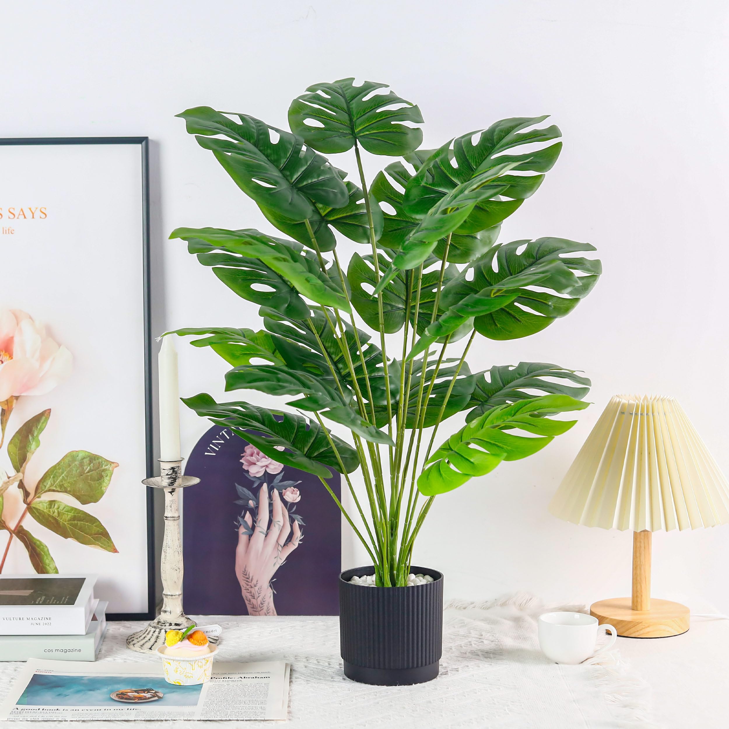 Der Rose Monstera 28-Inch in black pot enhances living rooms without care