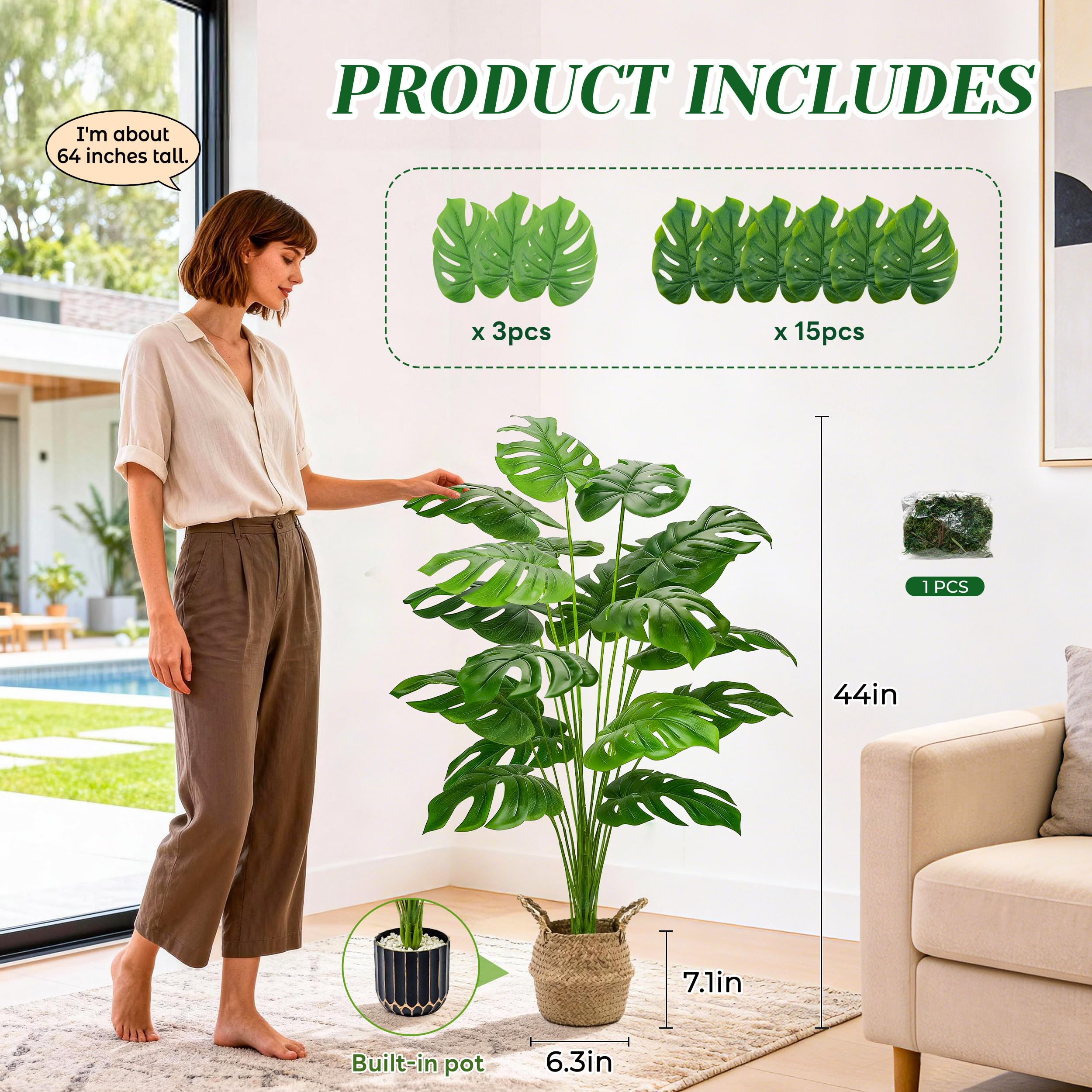 Der Rose monstera plant with detachable rhizome eases positioning and styling.