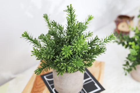 Der Rose moisture-free greenery ideal for bathrooms and humid spaces.