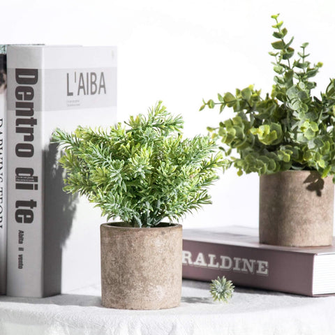 Der Rose eucalyptus topiary perfect as a thoughtful gift for women.