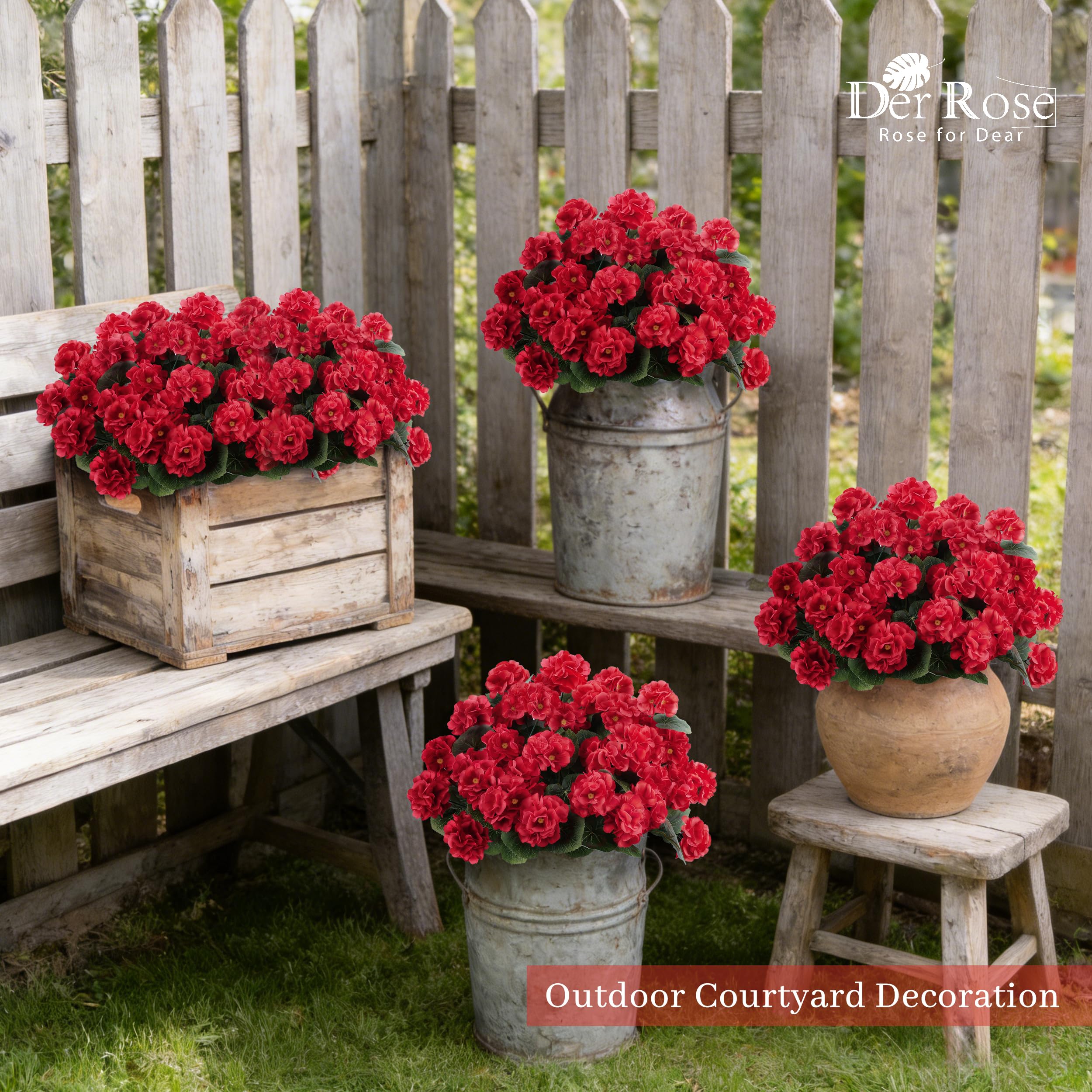 Der Rose zero-maintenance outdoor geraniums ideal for busy homes.