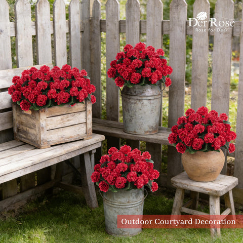 Der Rose zero-maintenance outdoor geraniums ideal for busy homes.