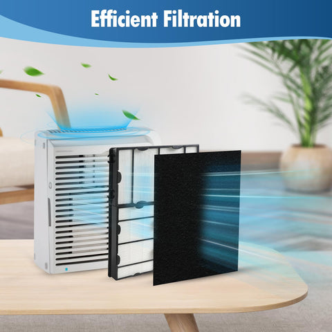 DerBlue replacement interval of 3–6 months helps maintain purifier efficacy.
