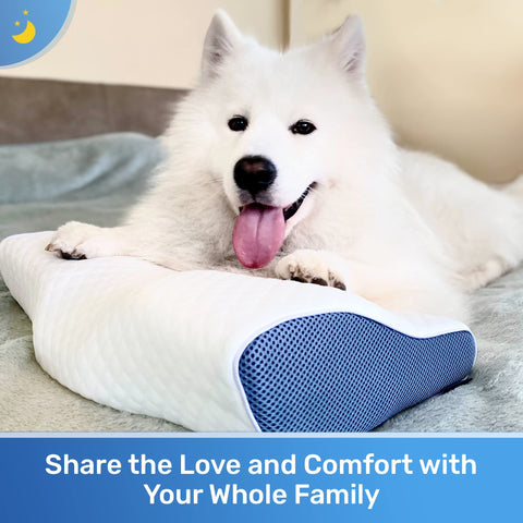 Derila pillow makes a thoughtful gift for men seeking relaxed evenings.