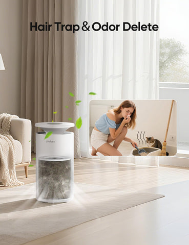 Dhyala auto mode with real-time sensors adjusts purification for polluted air.