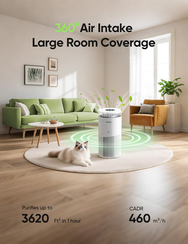 Dhyala H13 True HEPA filter captures fine particles for cleaner indoor air.