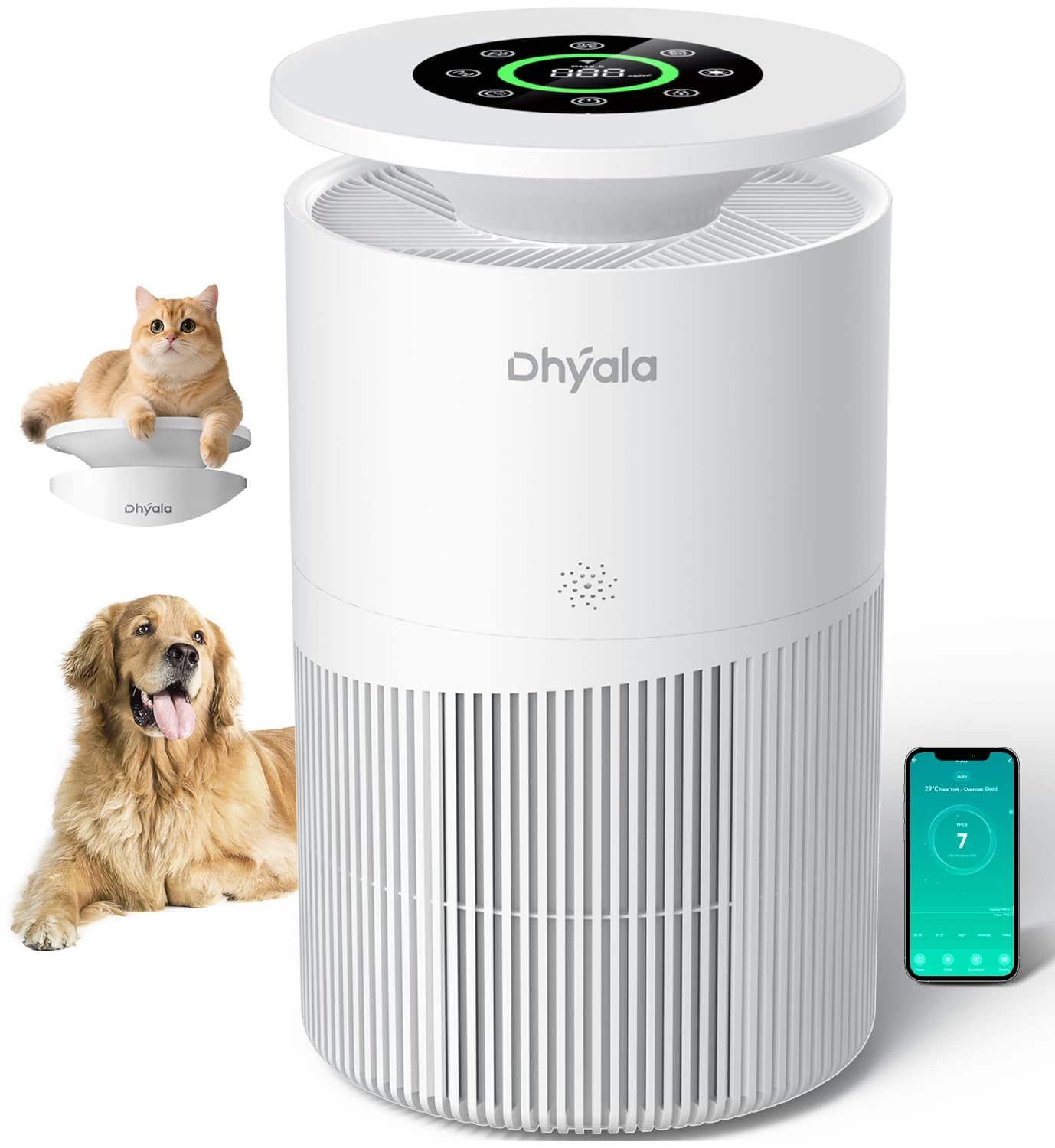 Dhyala air purifier provides large-room coverage in a bright living space, improving air quality.
