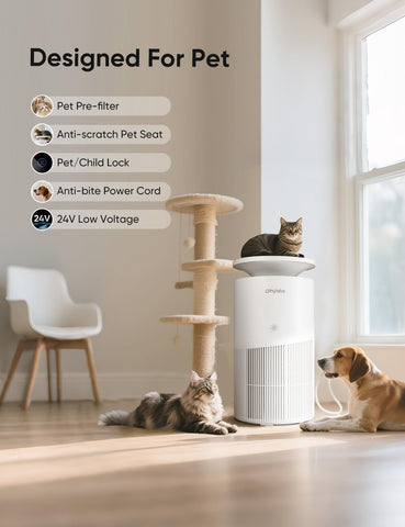 Dhyala pet hair platform helps absorb fur without clogging outlets.