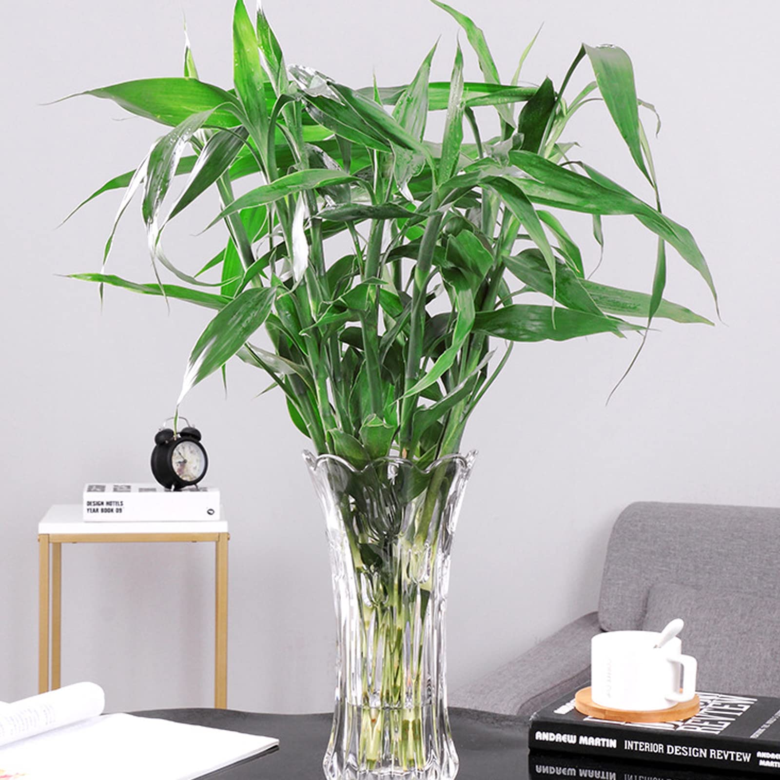 Dicunoy vase set packaged in gift-ready packaging.