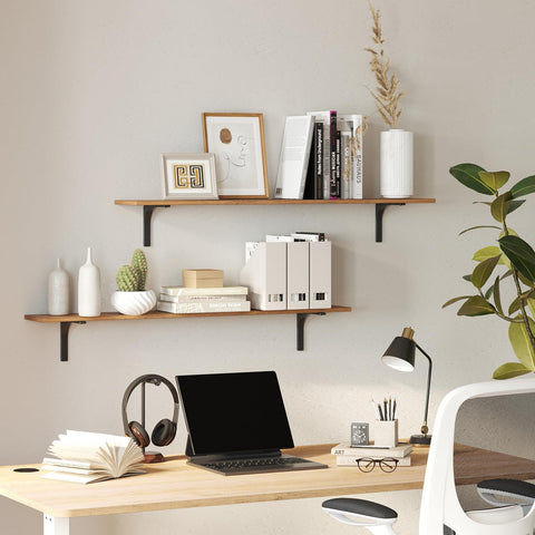 DINZI LVJ floating shelves displaying books and plants elegantly