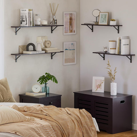 DINZI LVJ shelves with books and plants on display