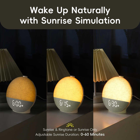 Diol Tode Sound Machine showcasing varied sleep sounds for night-time calm