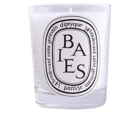 Diptyque Baies candle showing berries and roses for a vivid, inviting fragrance in any room