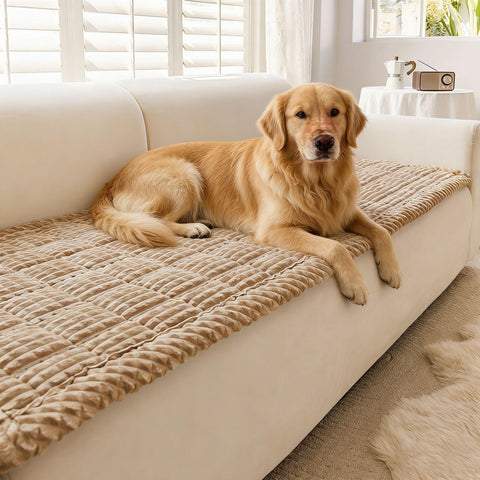 Disayu couch cover in soft fabric for cozy pet naps on the sofa.