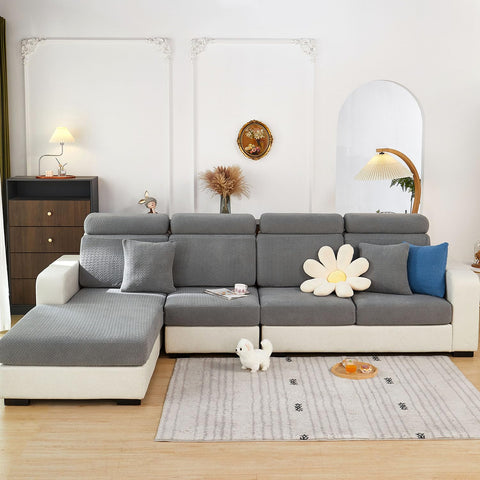 Disayu texture gray room setting highlights stylish protection