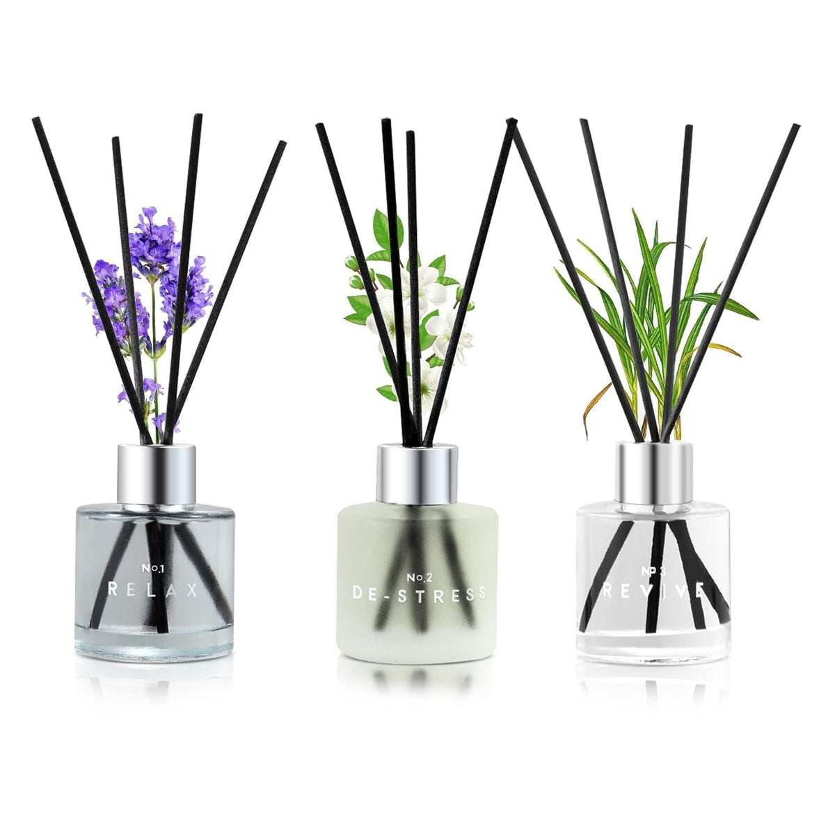 DIUFJAG 3pack reed diffuser bottle showcases elegant diffuser bottle for home fragrance