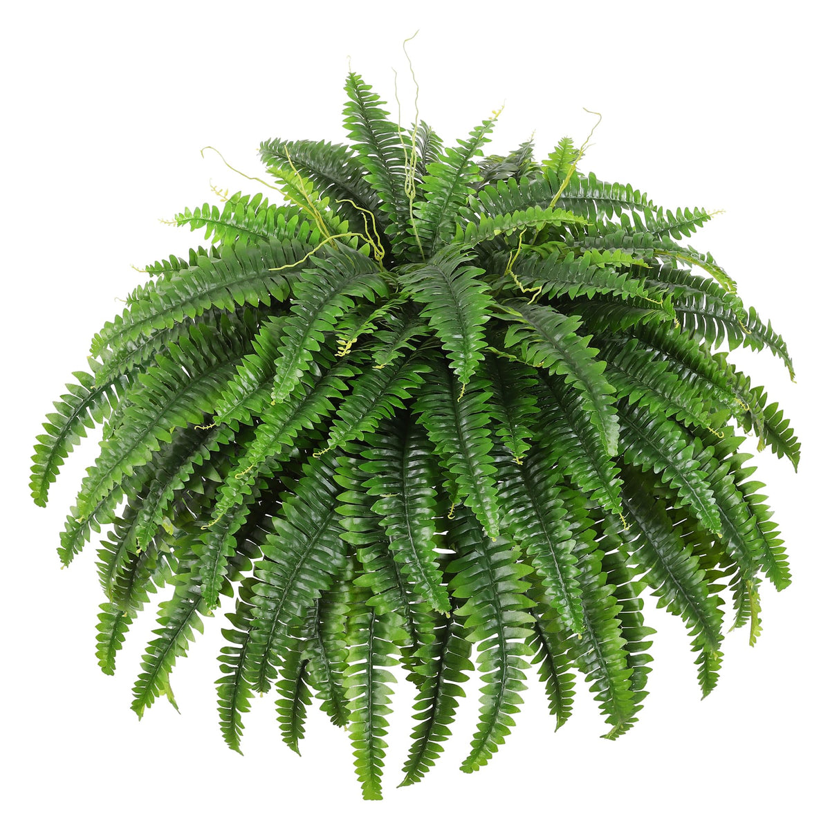 Dkaltm Boston fern bush with 49-inch fronds adds lifelike greenery to any space.