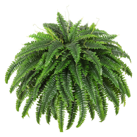 Dkaltm Boston fern bush with 49-inch fronds adds lifelike greenery to any space.