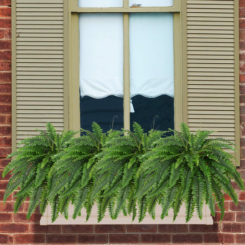 Dkaltm set of 2 ferns, ready to decorate multiple spaces.
